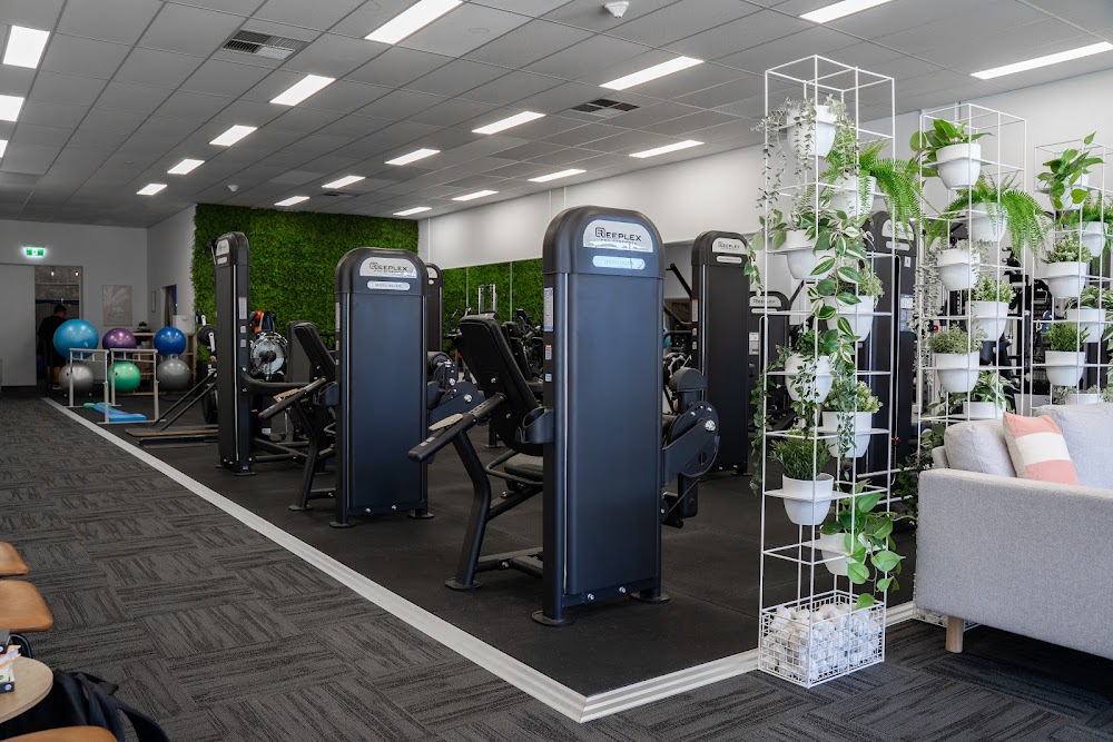 Palms Physiotherapy & Allied Health